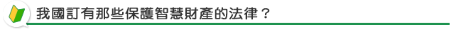 我國訂有那些保護智慧財產的法律？